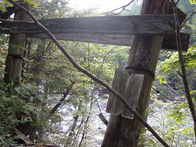 ��������X�ѓS���u�^�|�[��������{�J�����v