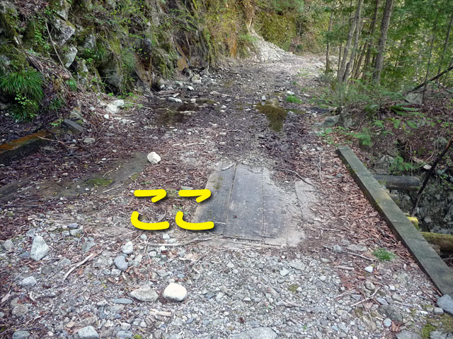 ����X�ѓS������������u�^�|�[��������{�J�����v