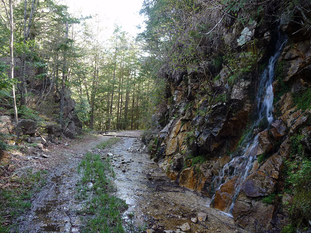 ����X�ѓS������������u�^�|�[��������{�J�����v