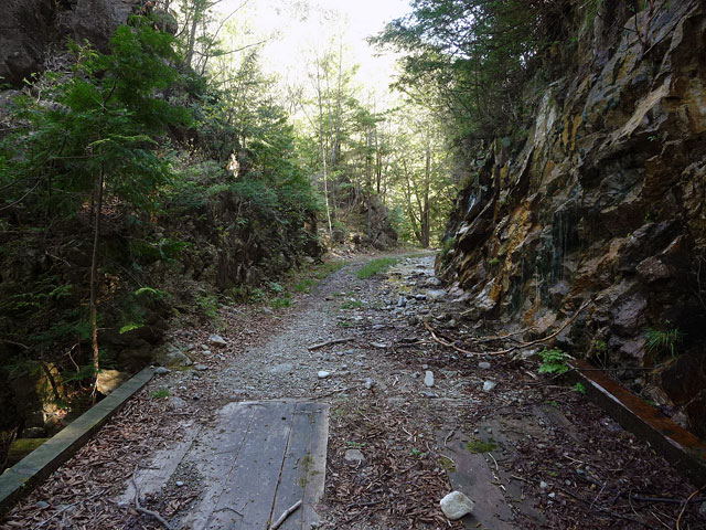 ����X�ѓS������������u�^�|�[��������{�J�����v