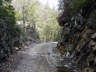 ����X�ѓS������������u�^�|�[��������{�J�����v