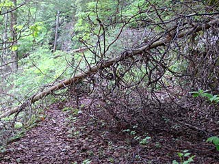 ����X�ѓS������������u�^�|�[��������{�J�����v