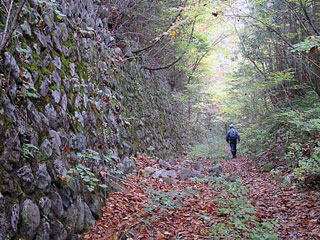 ����X�ѓS������������u�^�|�[��������{�J�����v