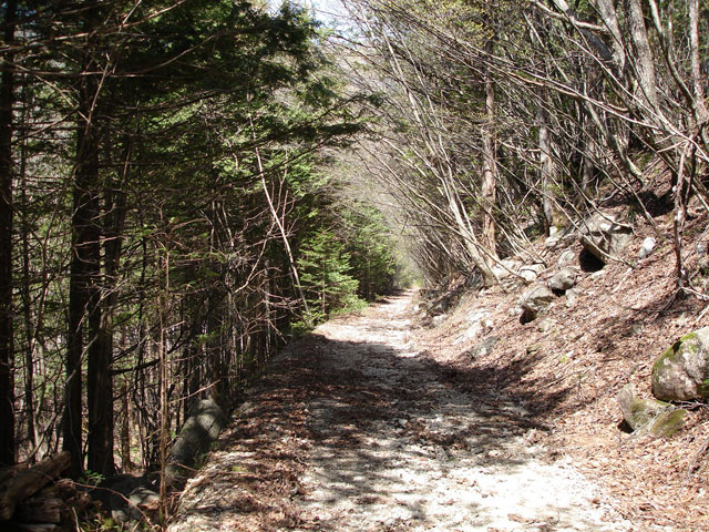 ����X�ѓS������������u�^�|�[��������{�J�����v