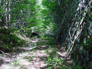 ����X�ѓS������������u�^�|�[��������{�J�����v