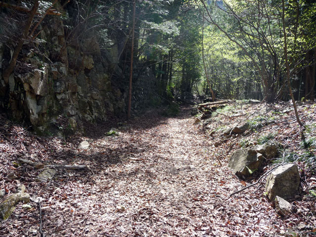 ����X�ѓS������������u�^�|�[��������{�J�����v