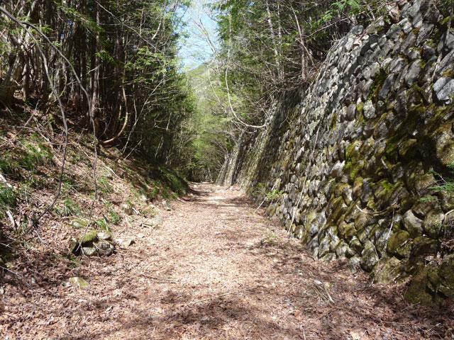 ����X�ѓS������������u�^�|�[��������{�J�����v