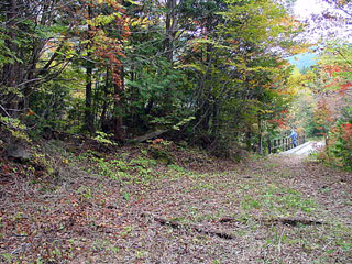 ����X�ѓS������������u�^�|�[��������{�J�����v