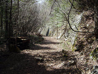 ����X�ѓS������������u�^�|�[��������{�J�����v