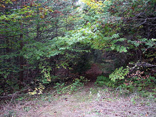 ����X�ѓS������������u�^�|�[��������{�J�����v