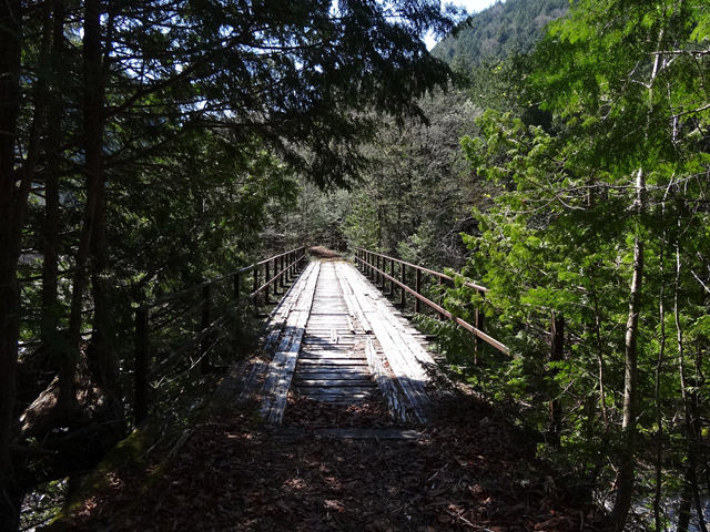 ����X�ѓS�����������,��������{�J����,�S��