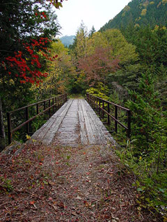 ����X�ѓS�����������,��������{�J����,�S��