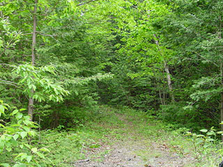 ����X�ѓS�����������,��������{�J����,�S��