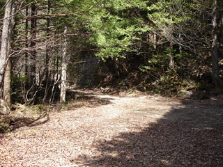 ����X�ѓS�����������,��������{�J����,�S��