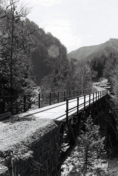 ��������X�ѓS��,��������{�J����