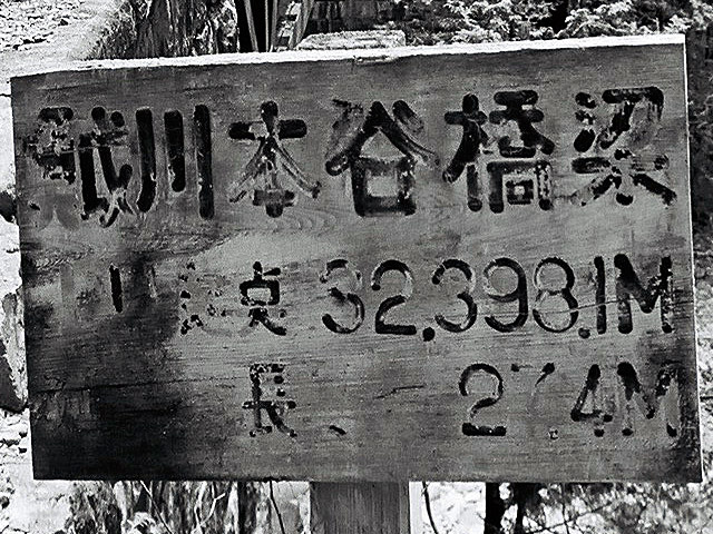 ��������X�ѓS��,��������{�J����