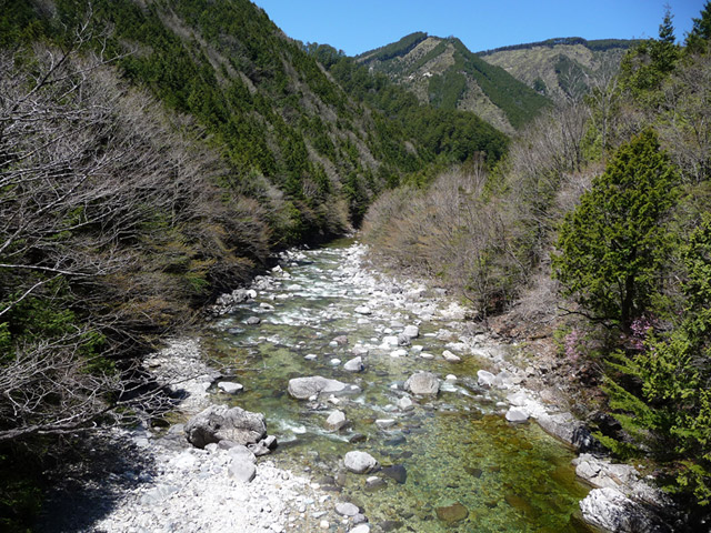 ����X�ѓS�����������,��������{�J����