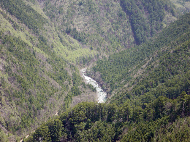 ����X�ѓS�����������,��������{�J����