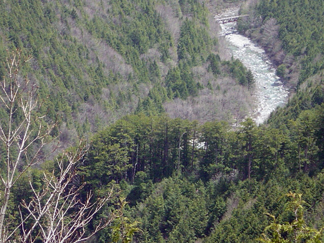 ����X�ѓS�����������,��������{�J����