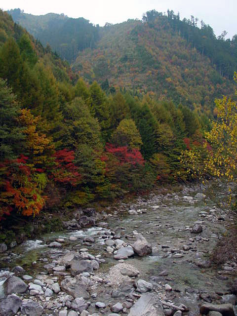 ����X�ѓS�����������,��������{�J����