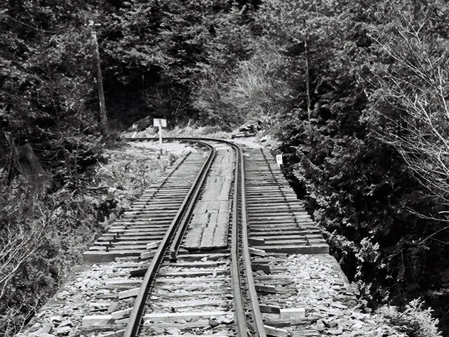 ��������X�ѓS��,��������{�J����