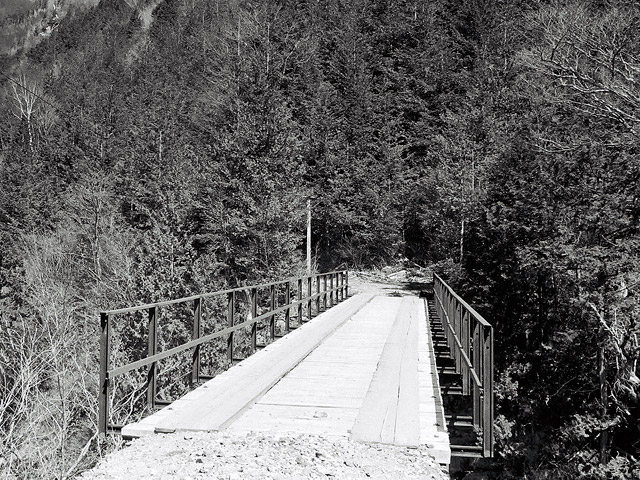 ��������X�ѓS��,��������{�J����