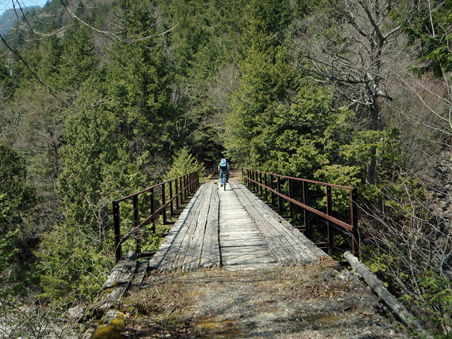 ��������X�ѓS��,��������{�J����