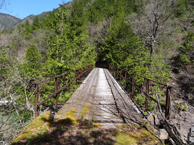 ��������X�ѓS��,��������{�J����