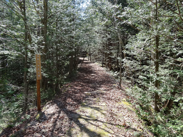 ��������X�ѓS����,�ѓS,�p����,�ؑ]�X