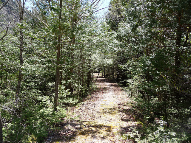 ��������X�ѓS����,�ѓS,�p����,�ؑ]�X