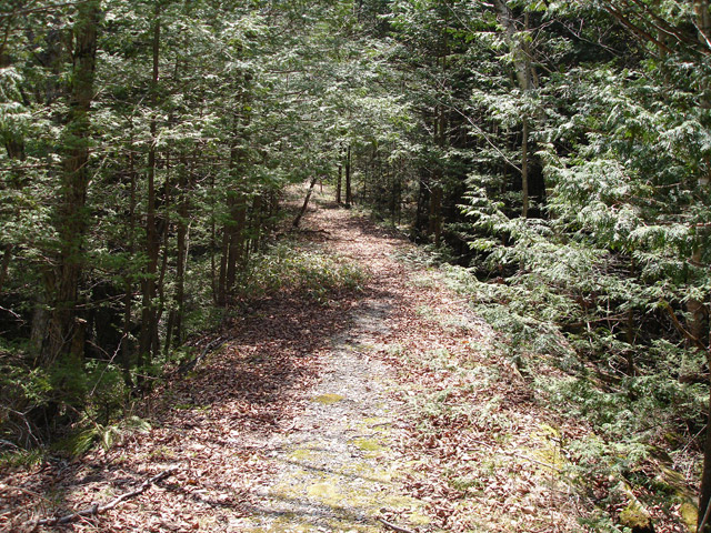 ��������X�ѓS����,�ѓS,�p����,�ؑ]�X