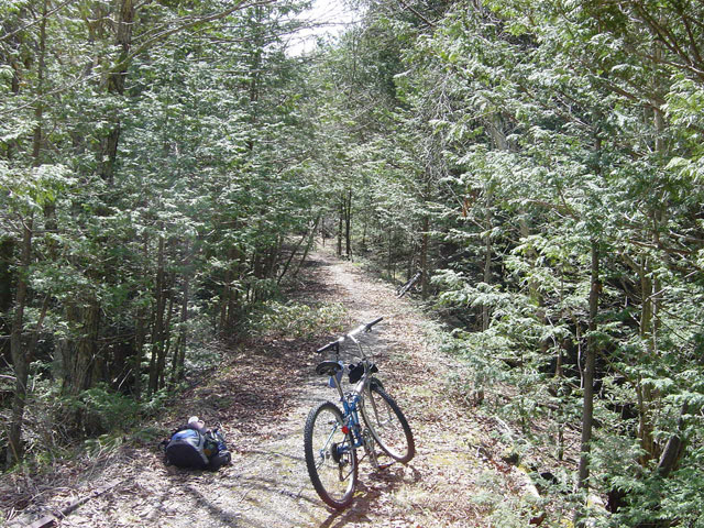 ��������X�ѓS����,�ѓS,�p����,�ؑ]�X