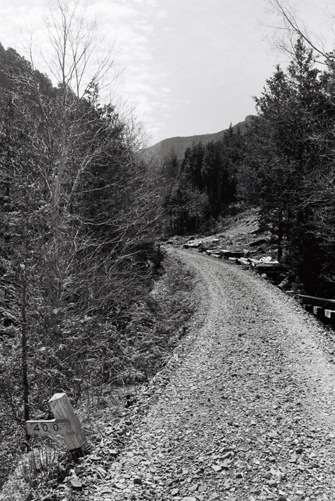 ����X�ѓS�����������,�ѓS,�p����,�ؑ]�X,�ѓ�