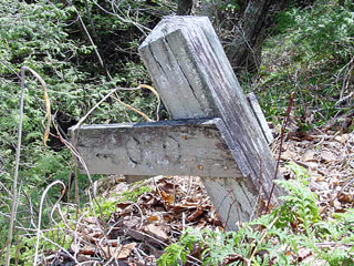 ����X�ѓS�����������,�ѓS,�p����,�ؑ]�X,���z�W