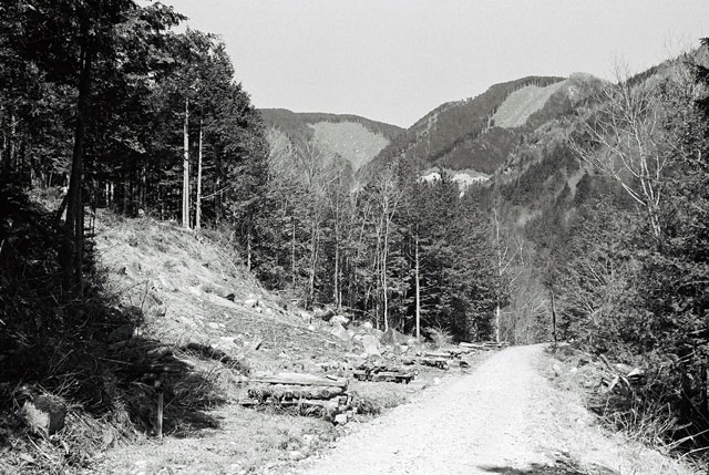 ����X�ѓS������������u��������{�J�����[�t���򋴗��v