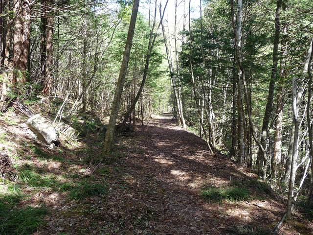 ����X�ѓS������������u��������{�J�����[�t���򋴗��v