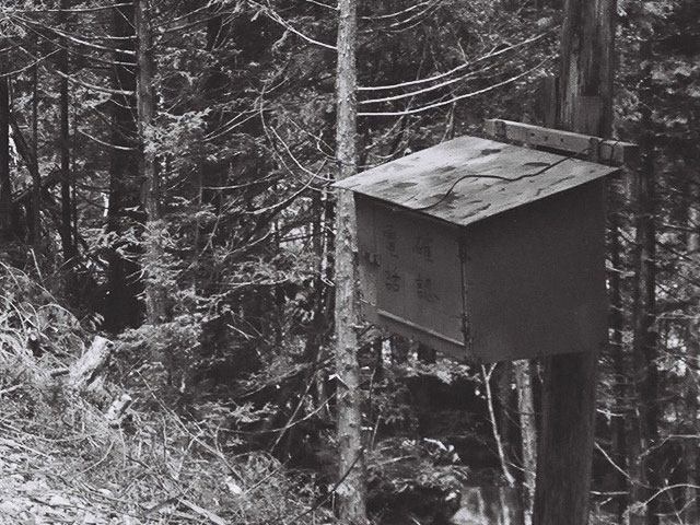 ����X�ѓS������������u��������{�J�����[�t���򋴗��v