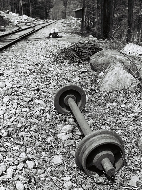 ����X�ѓS������������u��������{�J�����[�t���򋴗��v