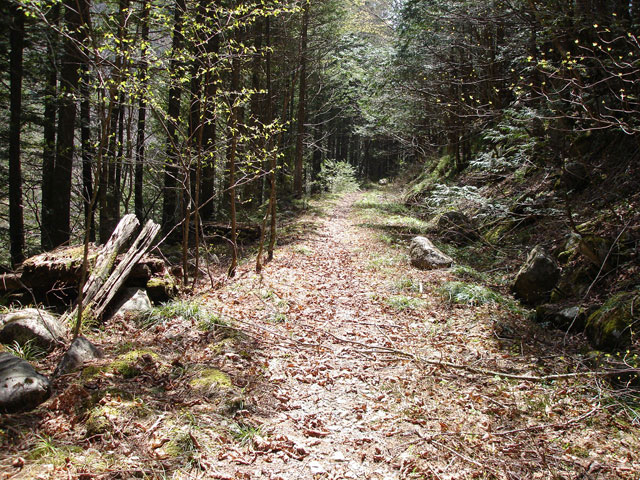 ����X�ѓS����������,�ѓS,�p����,����,�ؑ]�X