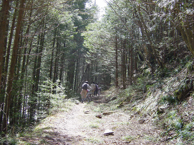 ����X�ѓS����������,�ѓS,�p����,����,�ؑ]�X