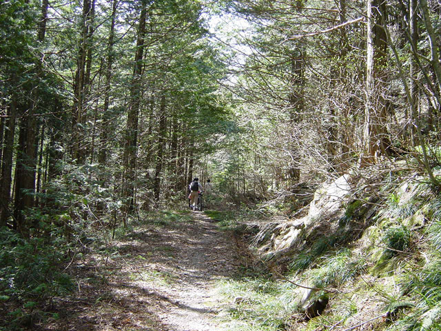 ����X�ѓS����������,�ѓS,�p����,����,�ؑ]�X