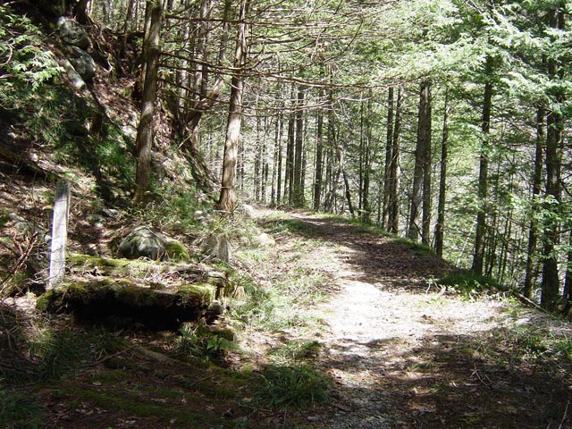 ����X�ѓS����������,�ѓS,�p����,����,�ؑ]�X