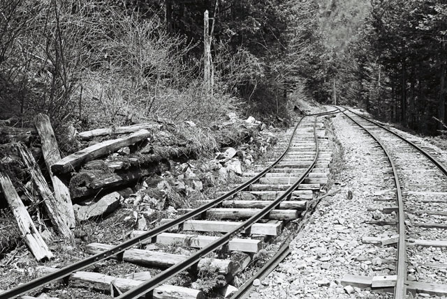 ����X�ѓS����������,�ѓS,�p����,�W�ޑ���,�ؑ]�X