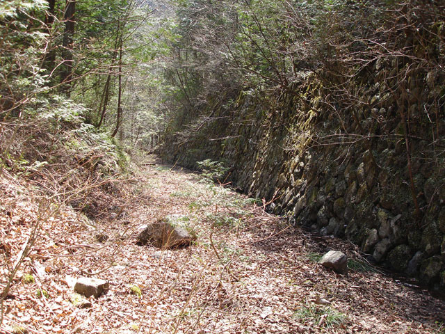 ����X�ѓS������������u��������{�J�����[�t���򋴗��v