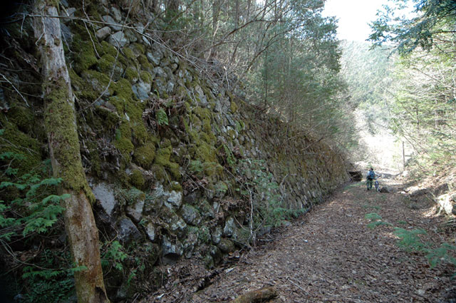 ����X�ѓS������������u��������{�J�����[�t���򋴗��v