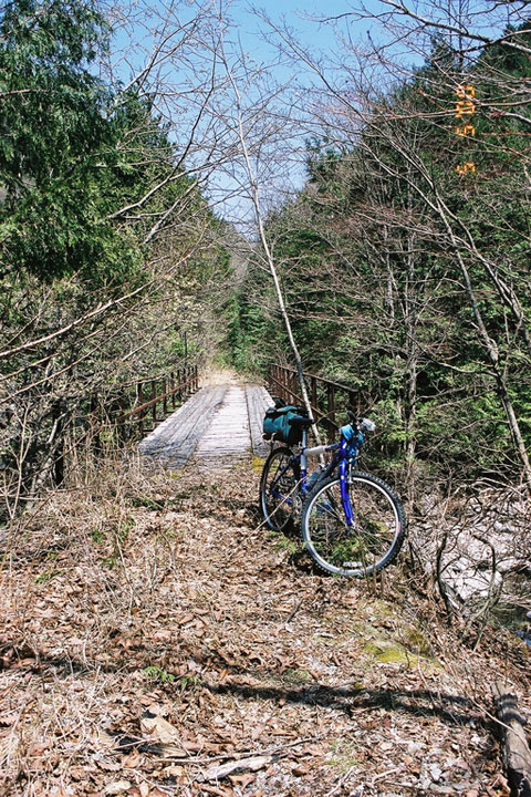 ����X�ѓS�����������,�t���򋴗�,�p����,�ѓS