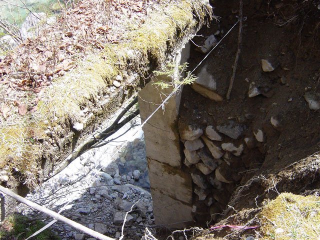 ����X�ѓS�����������,�t���򋴗�,�p����,�ѓS