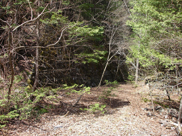 ��������X�ѓS��,�t���򋴗�,�ѓS