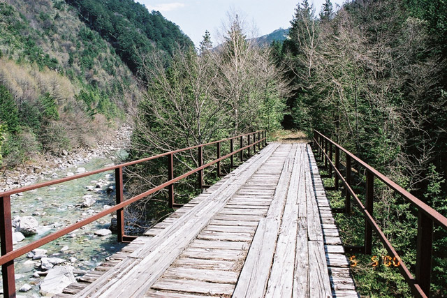 ����X�ѓS�����������,�t���򋴗�,�ѓS,�p����