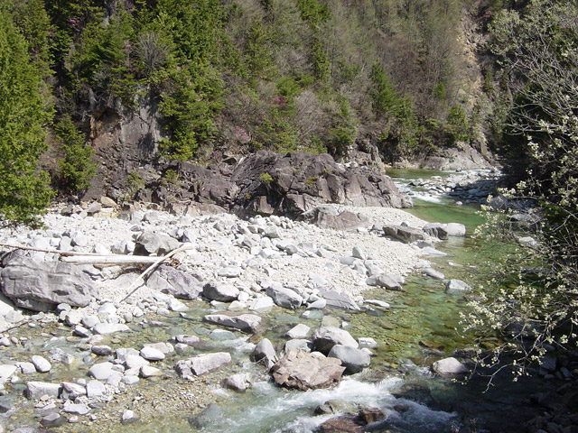 ����X�ѓS�����������,�t���򋴗�,�ѓS,�p����